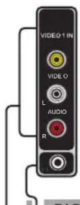 VIDEO-1 IN VIDEO O L AUDIO R