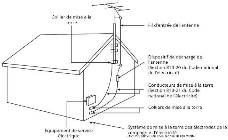 VIZIO D24HNG9 - Lignes électriques - 1