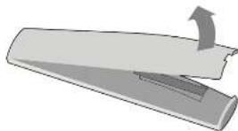 VIZIO D24HNG9 - Remplacement des piles - 2