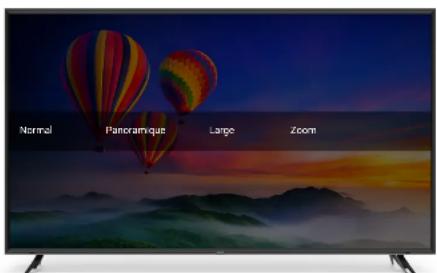 VIZIO E65F0 - MODIFICATION DU FORMAT DE CADRE DE LA TV - 2