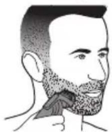 PHILIPS Series 3000 QG3344 - Peine-guía para barba (1-12 mm) - 1