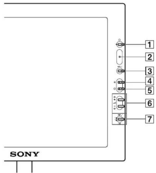 SONY SDMN50R - LCD display - 1