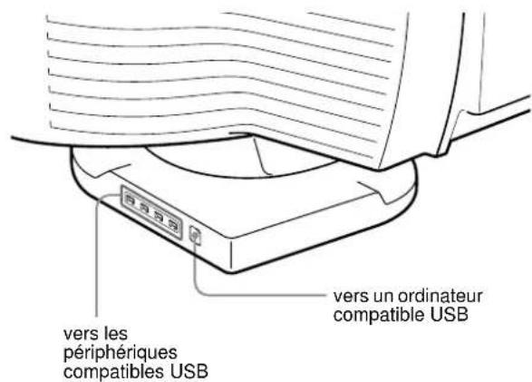 SONY GDMFW900 - Raccordement de péripériques compatibles USB (Universal Serial Bus) - 1