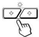 SONY GDM200PS - Press the ⚙️/↑ and ⬆←/→ buttons to select “☐ OPTION,” and press the MENU button again. - 1