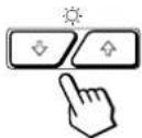 SONY GDM200PS - For brightness adjustment - 1
