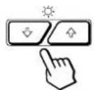 SONY GDM500PS - For brightness adjustment - 1
