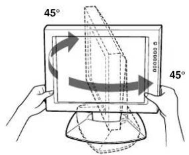 SONY CPDL181A - Inclinaison du moniteur - 2