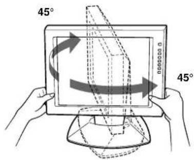 SONY CPDL181A - Neigen des Monitors - 2
