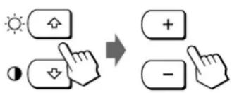 SONY CPDL181A - Press the / buttons to select R (red) or B (blue), and press the + / - buttons to get the desired color. - 1