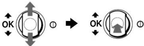 SONY CPDG520P - Adjust the menu. - 1