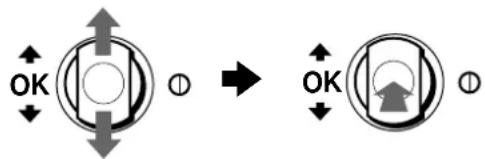 SONY CPDG520P - Utilisation du MENU et des touches de commandes - 3