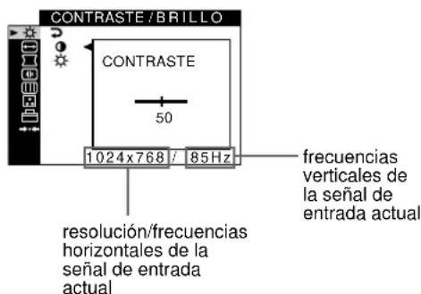 SONY CPDG520P - Visualización de la seals de entrada actual - 1