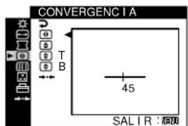 SONY CPDG520P - 4CONVERGENCIA (pagina 13) - 1
