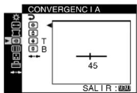 SONY CPDG420S - CONVERGENCIA (página 13) - 1