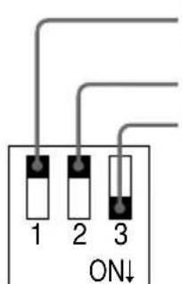 SONY PCGABM1 - 2Interruttori DIP - 1