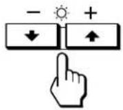 SONY GDM90W01T5 - Press the Ⓧ (brightness) ↓/↑ button. - 1