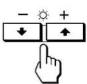 SONY GDM90W01T5 - Press the ⚙↓/↑ button to select "OSD MENU." - 1