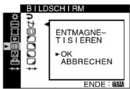 SONY GDM5510 - FARBE (Seite 12) - 1