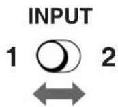 SONY GDM5510 - Desplace el interruptor INPUT. - 1