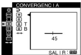 SONY GDM5510 - CONVERGENCIA (página 10) - 1