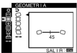 SONY GDM5510 - □ GEOMETRIA (página 10) - 1