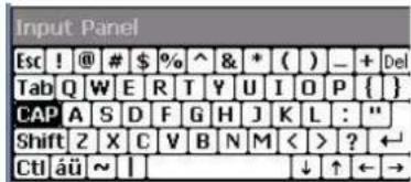 Input Panel Esc ! @ # $ % ^ & * ( ) _ + Del Tab Q W E R T Y U I O P { } CAP A S D F G H J K L : " Shift Z X C V B N M < > ? ← CtI äü ~ | ↓ ↑ ← →