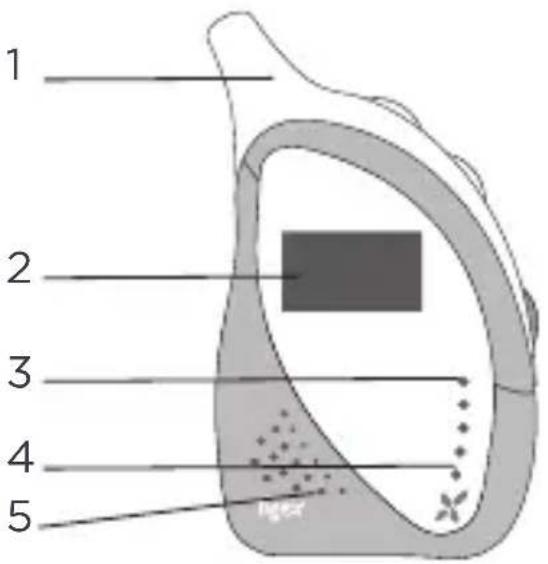 TIGEX Harmony 900 - VOORAANZICT ACHTERAANZICT - 1
