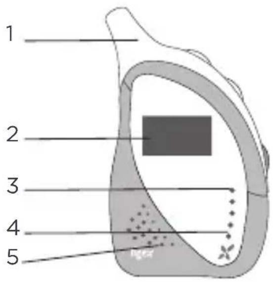 TIGEX Harmony 900 - DESCRIPCION DE LA UNIDAD DEL BEBÉ - 1