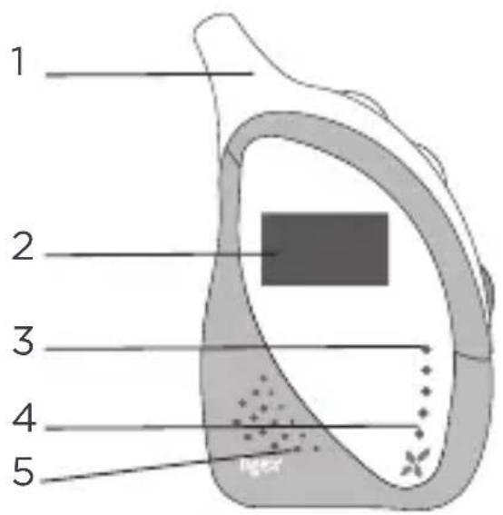 TIGEX Harmony 900 - DESCRÊÇÃO DA UNIDADE DO BEBÉ - 1