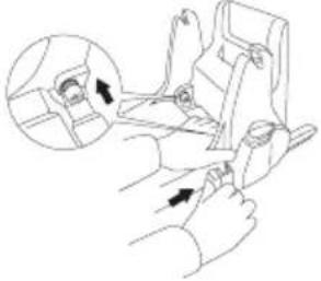 Takata Midi - mIDI - 14