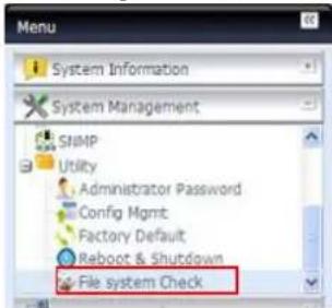 Thecus N7700PRO - \* Vérification du système de fichiers - 1