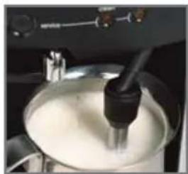 TAURUS EA8010 - ESPUMA DE LECHE - 4
