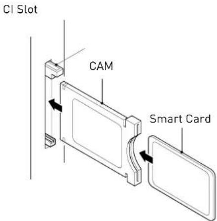 SEG Barcelona - USING YOUR COMMON INTERFACE SLOT Common Interface - 1
