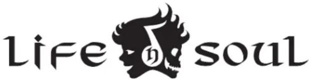 Life N Soul MT103 - Étape3: - 1