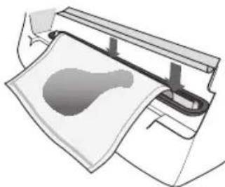 FOODSAVER V3040 - Vakuumverpacken mit FoodSaver® Vakuumverpackungsbeuteln - 2