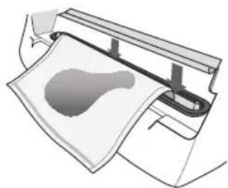 FOODSAVER V3240 - Cómo sellar al vacio con las bolsas de sellado al vacio FoodSaver® - 3