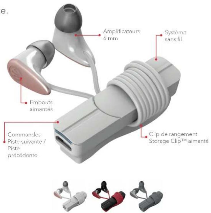 IFROGZ Bolt - € PDR - 1