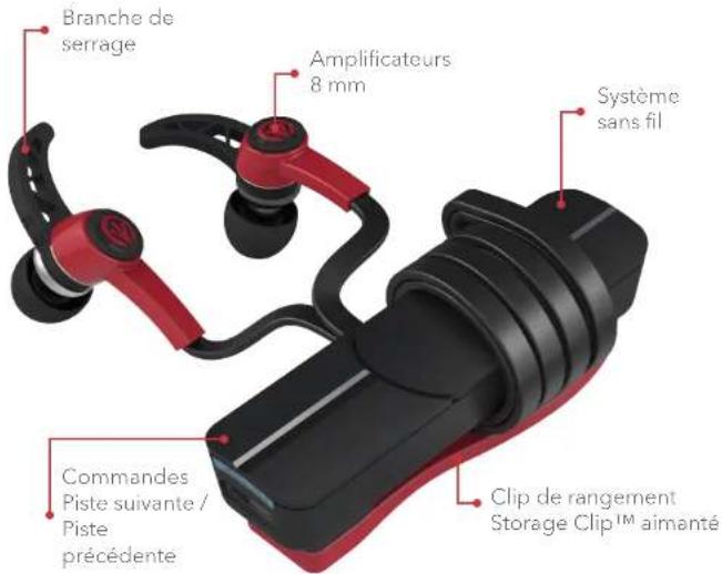 IFROGZ Bolt - € PDR - 1