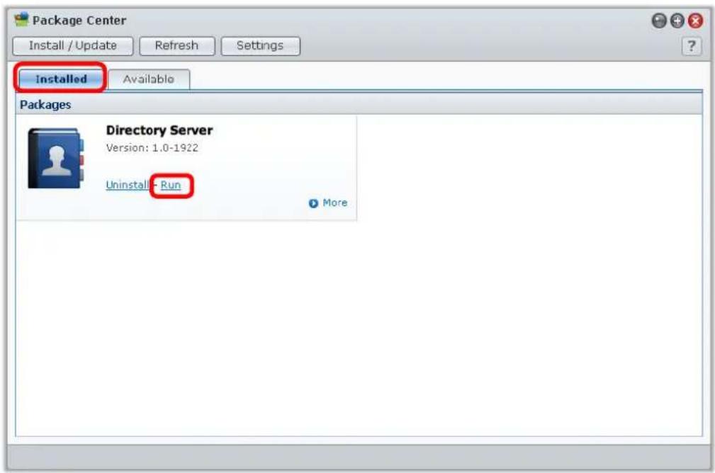 SEAGATE RS2416+ - Install and Launch Directory Server - 2