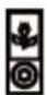 THOMSON DS401 - IPod Docking Compatibilities List - 12