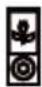 THOMSON DS401 - iPod Docking Compatibilities List - 12