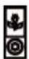 THOMSON DS401 - IPod Docking Compatibilities List - 12