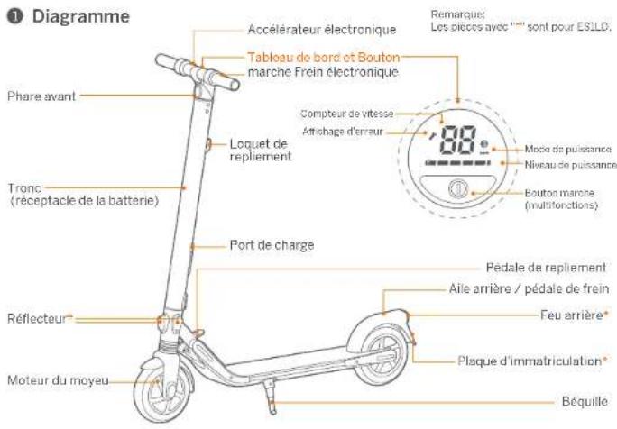 SEGWAY Ninebot KickScooter ES1LD - C - 1