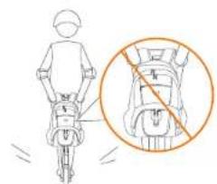 SEGWAY Ninebot KickScooter MAX G30LE - WARNING - 13