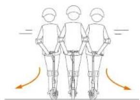 SEGWAY Ninebot KickScooter MAX G30LD - WARNING - 19