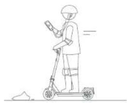 SEGWAY Ninebot KickScooter MAX G30LD - WARNING - 31