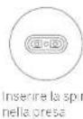 SEGWAY SPlus - Caricament - 3
