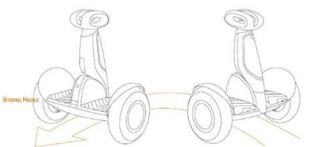 SEGWAY SPlus - Спасибо, что выбрали Segway S-PLUS - 1