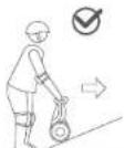 SEGWAY SPlus - Moco de asistencia - 2