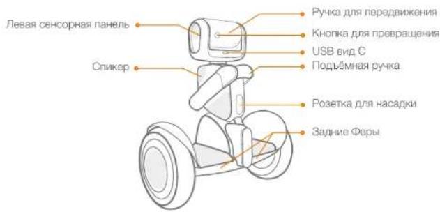 SEGWAY Loomo - Содержание коробки - 13